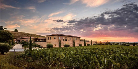 Super-Tuscans & klassisk Sangiovese 28/5