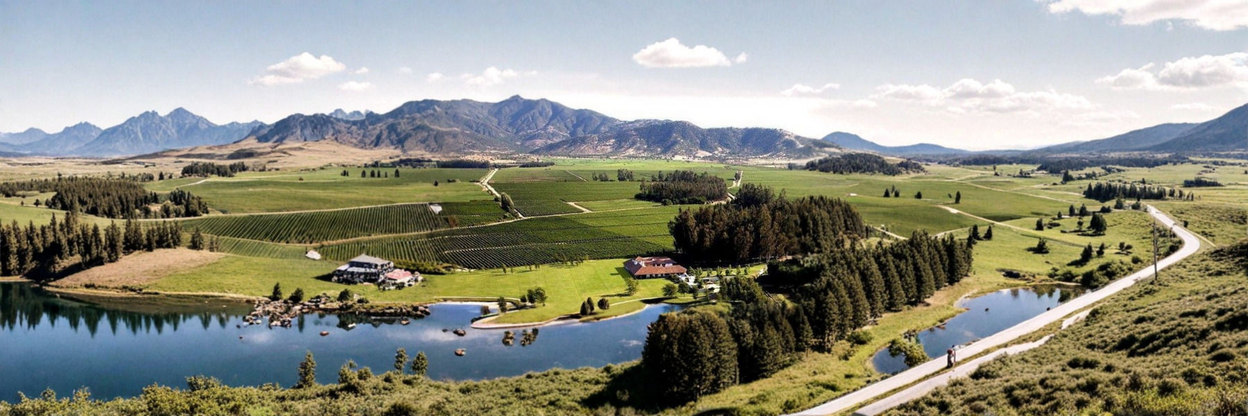 Vina-los-Vascos Amfora