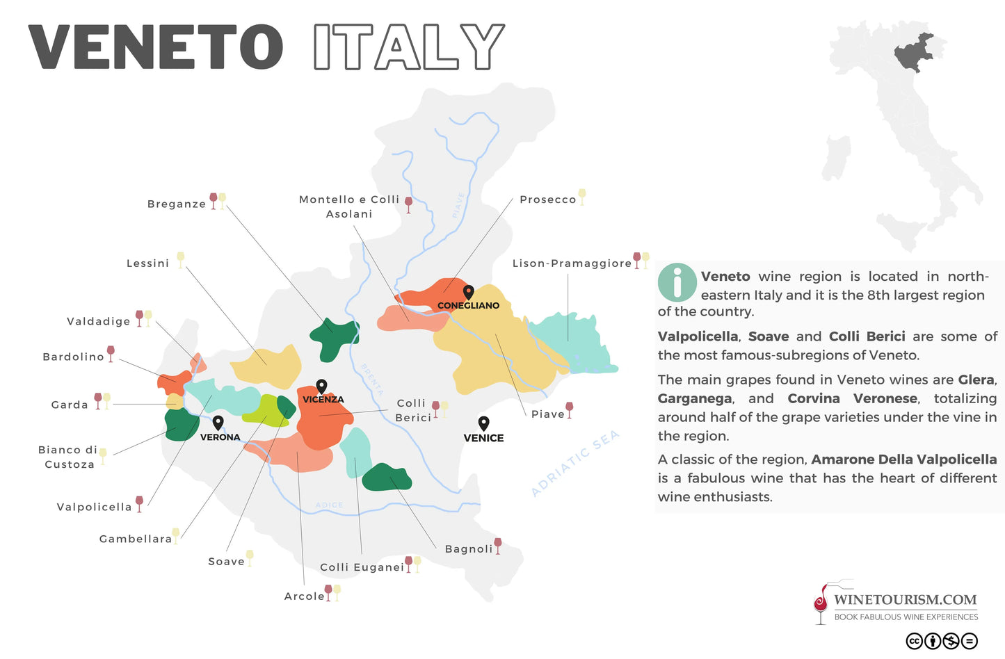 Domini Veneti Collezione Pruviniano Amarone della Domini Veneti