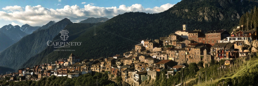 Carpineto Amfora