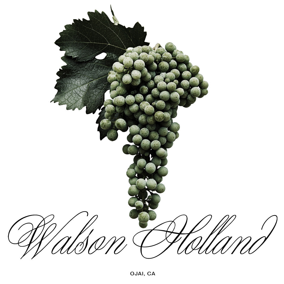 Walson-Holland Amfora