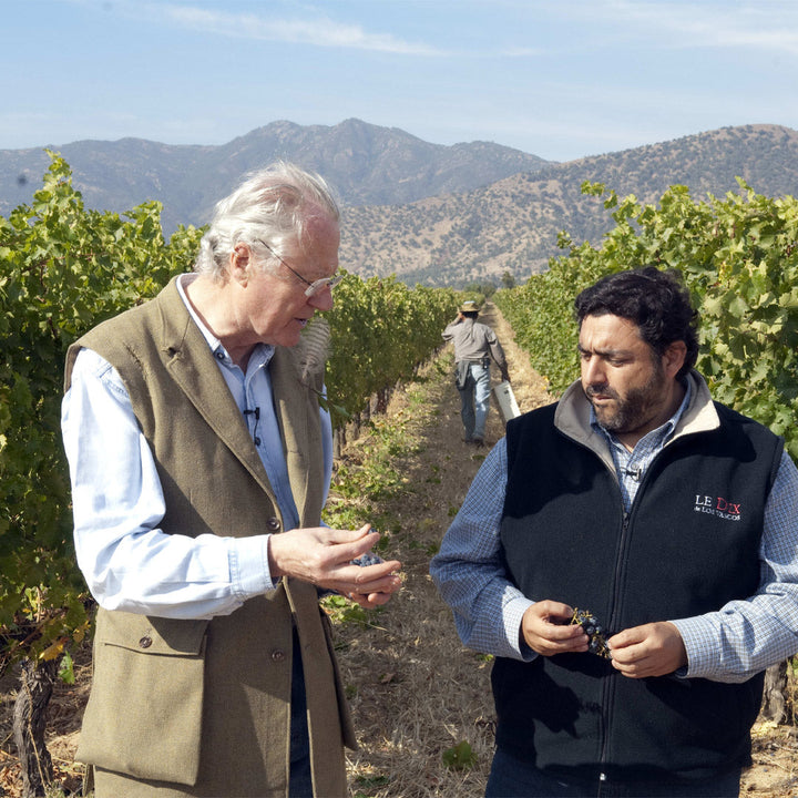 Cromas Chardonnay Gran Reserva 2022 Vina los Vascos