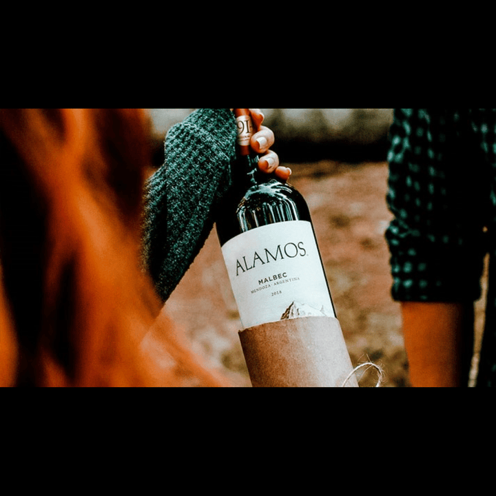 Catena Alamos Cabernet Sauvignon Mendoza Catenas