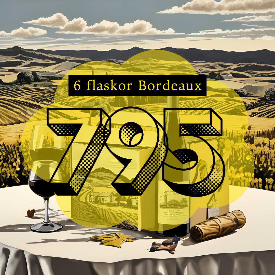 6 flaskor Bordeaux Amfora