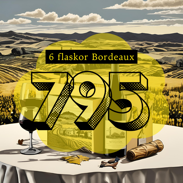 6 flaskor Bordeaux Amfora
