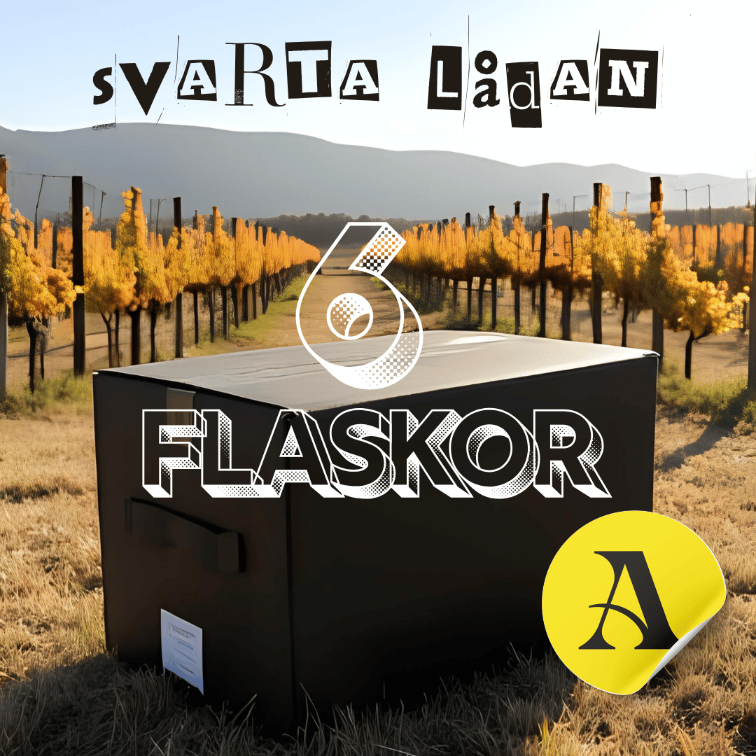 Svarta lådan Amfora