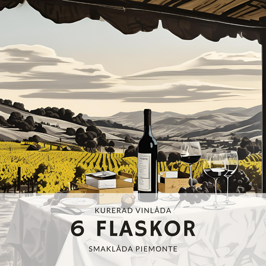 🍷 Vinlådan Piemonte Elegans – 6 flaskor av italiensk klass Amfora