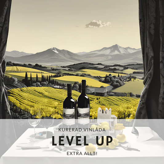 LEVEL UP Amfora