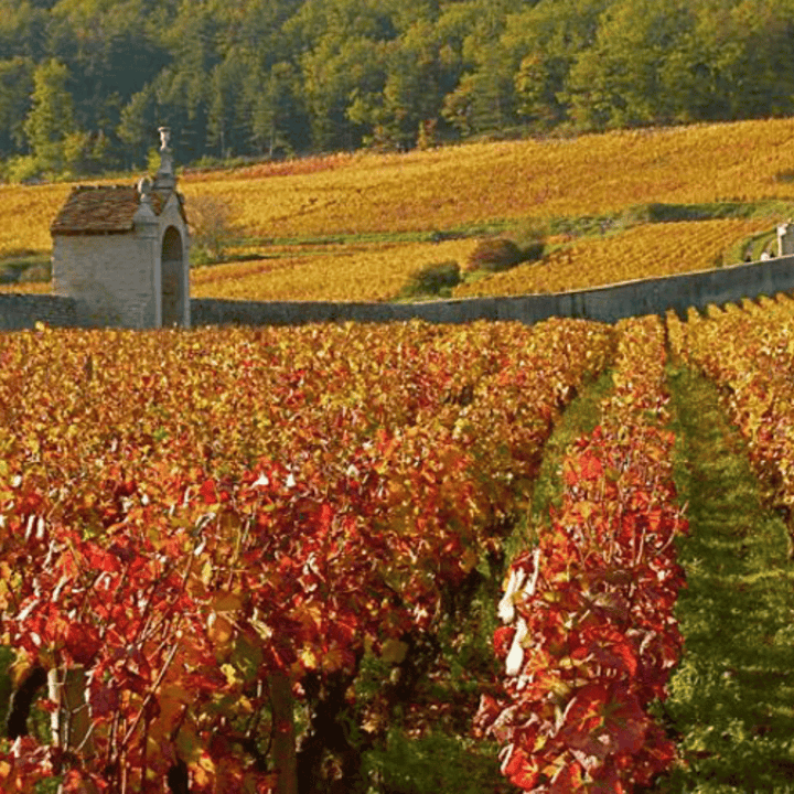 2022 Nuits-Saint-Georges Les Hauts Pruliers Domaine Frédéric Esmonin Domaine Frederic Esmonin
