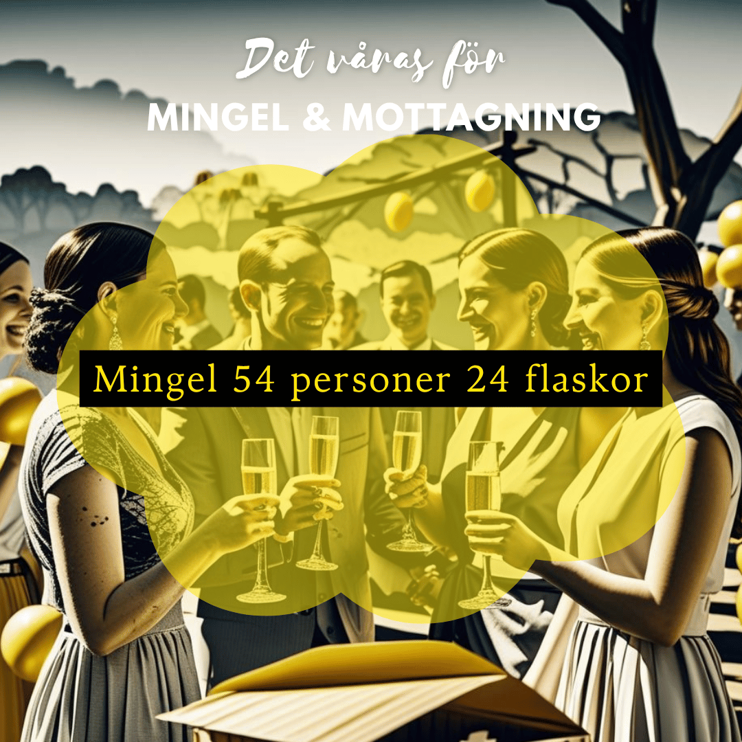 Vin till Mingel och mottagning - 24 flaskor Amfora