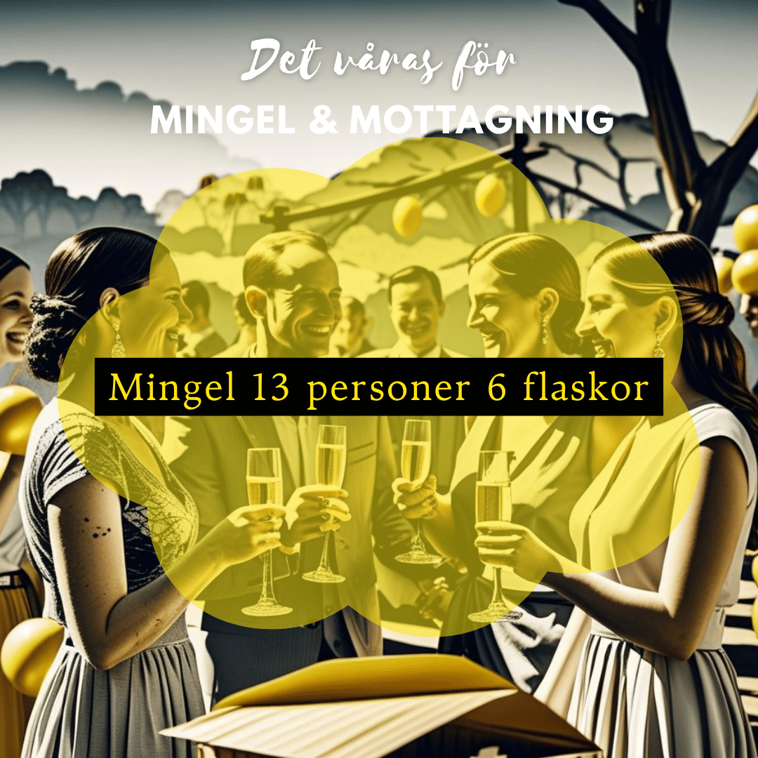 Vin till Mingel och mottagning - 6 flaskor Amfora