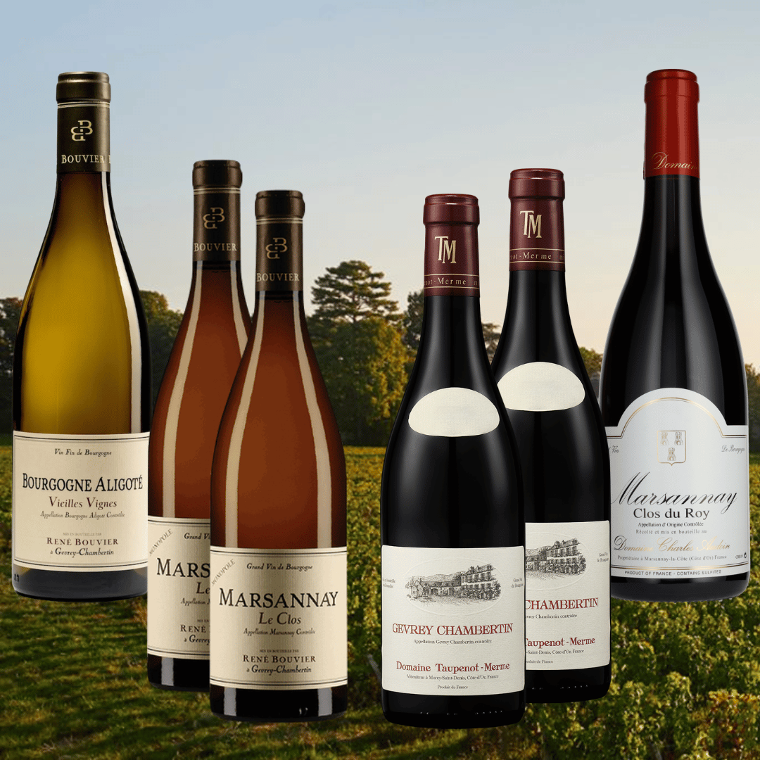 Vinlåda - 6 flaskor - Blandlåda Domaine René Bouvier Domaine René Bouvier