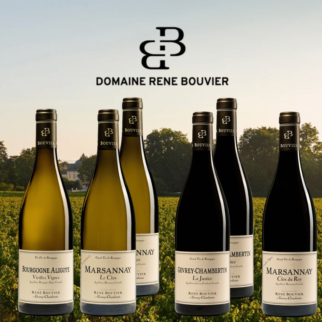 Vinlåda - 6 flaskor - Blandlåda Domaine René Bouvier Domaine René Bouvier