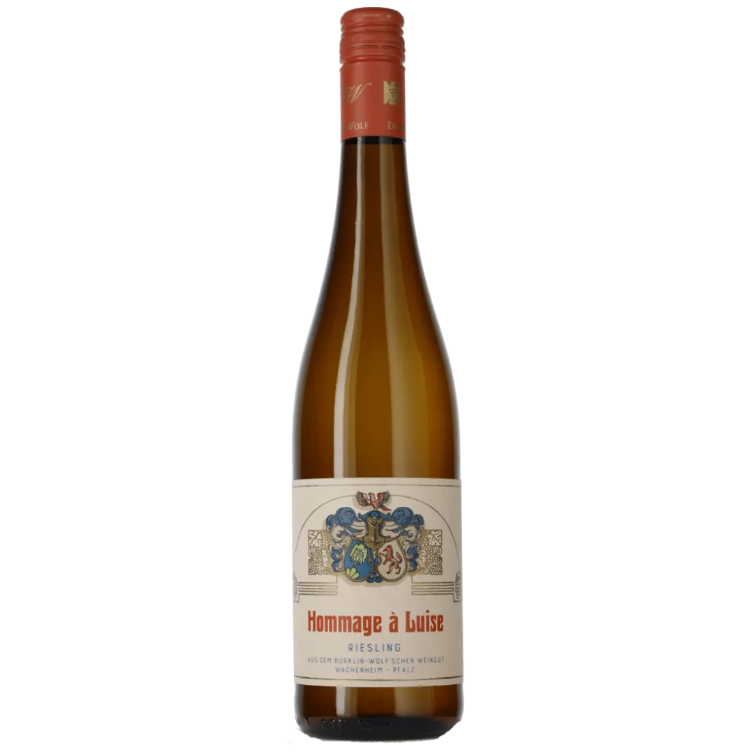 Hommage à Luise Riesling Kabinett 2023, Dr. Bürklin-Wolf Amfora