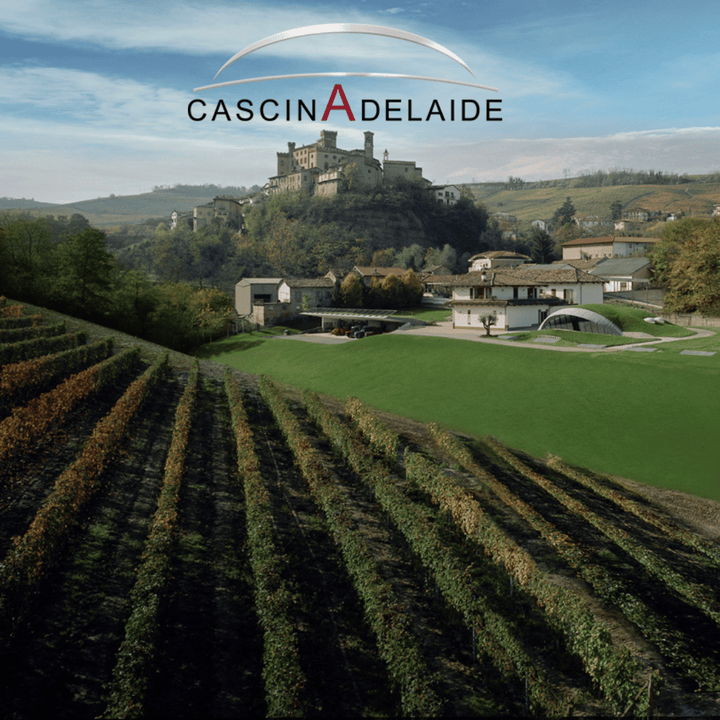 Cascina Adelaide Barolo 2017 Cascina Adelaide