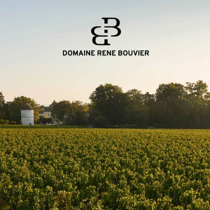 Vinlåda - 6 flaskor - vinprovningen Domaine René Bouvier Amfora