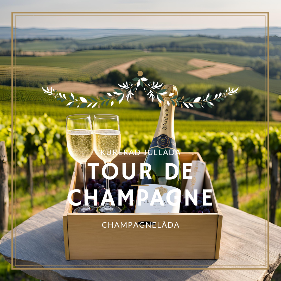 TOUR de CHAMPAGNE Amfora