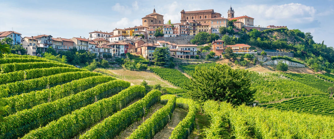 piemonte_1800X750.jpg__PID:1252cf43-a3b6-42be-9a69-0d92f42eb9d9