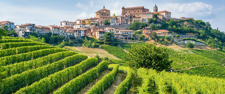 piemonte_1800X750.jpg__PID:1252cf43-a3b6-42be-9a69-0d92f42eb9d9